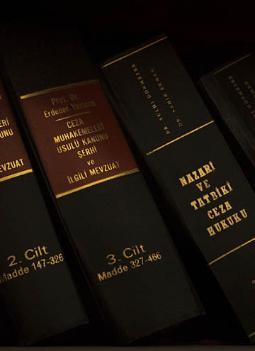 法律思维与法学经典阅读